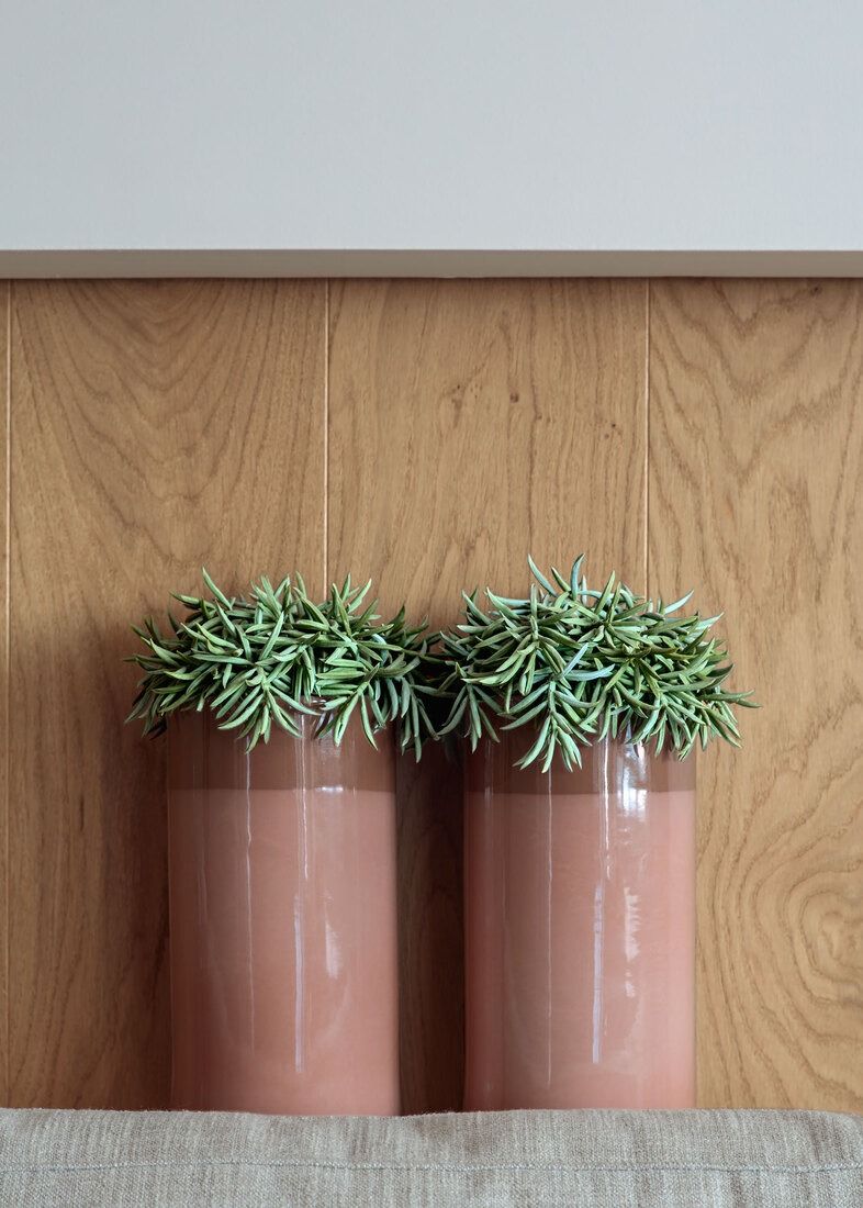 Plantas decorativas salón comedor
