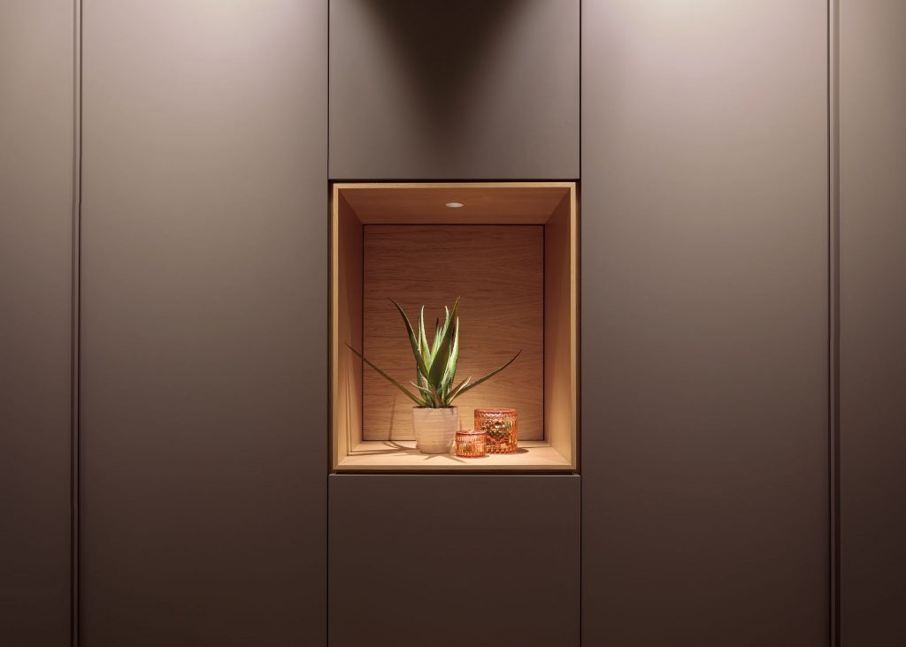 PROYECTO MAAN | IRUNE TORRONTEGI